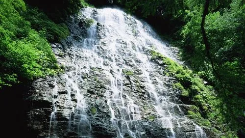 高精度智能独特